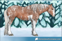 Horse Color:White Spotted Silver Bay Ice Tobiano 
