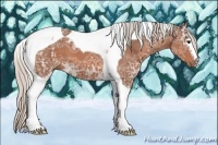 Horse Color:White Spotted Silver Bay Ice Tobiano 