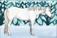 Horse Color:White Spotted Silver Amber Champagne Ice Tobiano 