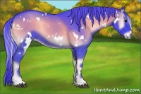 Horse Color:Watercolor White Spotted Smoky Blue Onyx