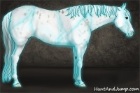 Horse Color:Thunderstruck Brown Dun Sabino Splash Appaloosa 