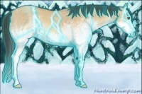 Horse Color:Thunderstruck White Spotted Amber Champagne Dun Sabino Splash