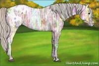 Horse Color:Silver Brown Ice Appaloosa 
