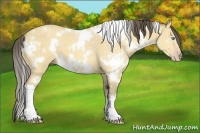 Horse Color:White Spotted Amber Cream Champagne Dun