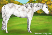 Horse Color:Silver Grullo Ice Sabino 
