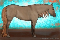 Horse Color:Liver Red Dun 