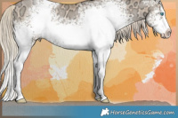 Horse Color:White Spotted Chocolate Palomino Ice Pearl Dun Splash 