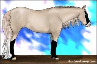Horse Color:Chocolate Palomino Pearl Splash 
