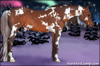 Horse Color:White Spotted Chocolate Brown