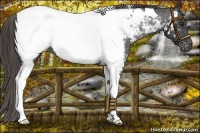 Horse Color:Liver Red Roan Tobiano Near Fewspot 