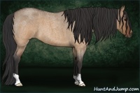 Horse Color:Brown Roan Dun 