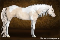 Horse Color:Silver Classic Champagne Roan Tobiano 