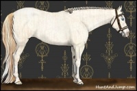 Horse Color:Buckskin Roan Pearl  and Buckskin Roan Pearl Splash 