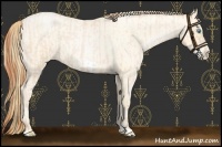 Horse Color:Buckskin Roan Pearl  and Buckskin Roan Pearl Frame 
