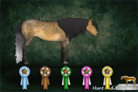 Horse Color:Buckskin Dun Mushroom 