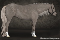 Horse Color:Silver Black 
