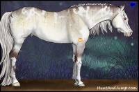 Horse Color:White Spotted Chocolate Silver Buckskin Chinchilla Onyx Sabino