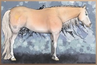 Horse Color:White Spotted Silver Smoky Creme Onyx Sabino Rabicano