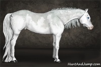 Horse Color:Watercolor Silver Buckskin Ice Roan Splash