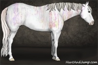 Horse Color:Watercolor Silver Brown Ice Splash Rabicano 