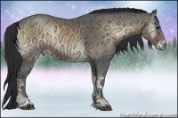 Horse Color:Brown Ice Onyx Rabicano