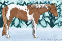 Horse Color:Chestnut Tobiano