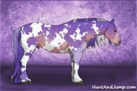 Horse Color:Watercolor White Spotted Brown Rabicano 