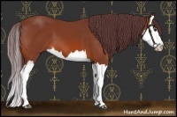 Horse Color:Chocolate Brown Splash