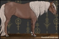 Horse Color:Chocolate Silver Black 
