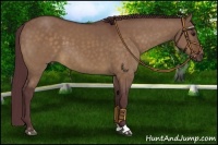 Horse Color:Chocolate Brown Dun Sabino 