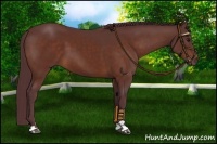 Horse Color:Chocolate Brown Sabino