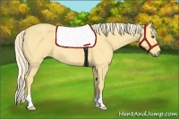 Horse Color:Palomino Roan Dun