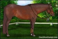 Horse Color:Chocolate Brown Rabicano 