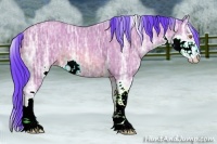 Horse Color:Watercolor Sable Champagne Ice Sabino 
