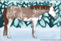 Horse Color:Chestnut Ice Splash 