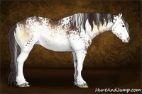 Horse Color:White Spotted Liver Red Onyx Sabino 