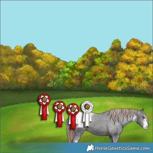 Horse Color:White Spotted Liver Chestnut Ice Appaloosa 