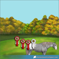 Horse Color:White Spotted Liver Chestnut Ice Appaloosa 