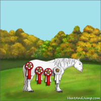 Horse Color:White Spotted Liver Chestnut Ice Appaloosa