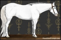 Horse Color:Perlino Near Fewspot 