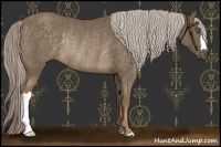 Horse Color:Chocolate Palomino Rabicano
