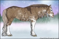 Horse Color:Liver Red Dun Sabino Splash Rabicano