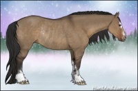 Horse Color:Liver Red Dun Sabino Rabicano
