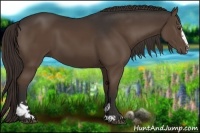 Horse Color:Liver Chestnut Sabino