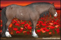 Horse Color:Liver Chestnut Sabino Appaloosa Rabicano
