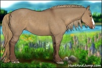 Horse Color:Liver Red Dun 