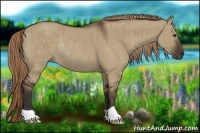 Horse Color:Liver Red Dun Rabicano Brindle
