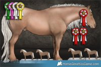 Horse Color:Liver Chestnut Pearl Mushroom Rabicano 