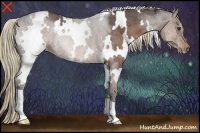 Horse Color:White Spotted Liver Chestnut Ice Rabicano