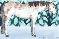 Horse Color:Nacre White Spotted Bay Ice Splash 